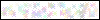 Auth Image